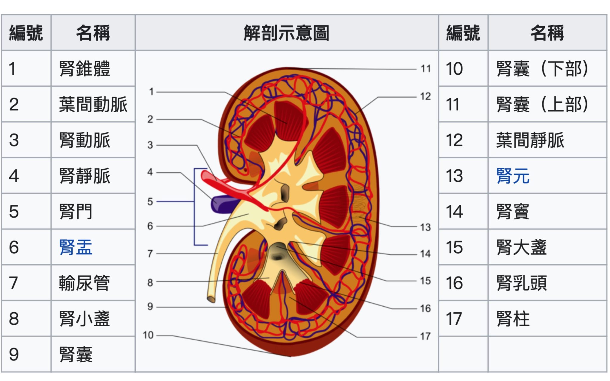 腎與水 生態 ∫環境 ∫文化
